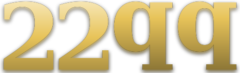 22qq logo